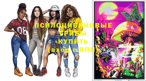 экстази Няндома