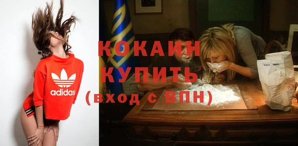 прущие грибы Нягань