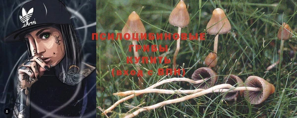 2c-b Нязепетровск